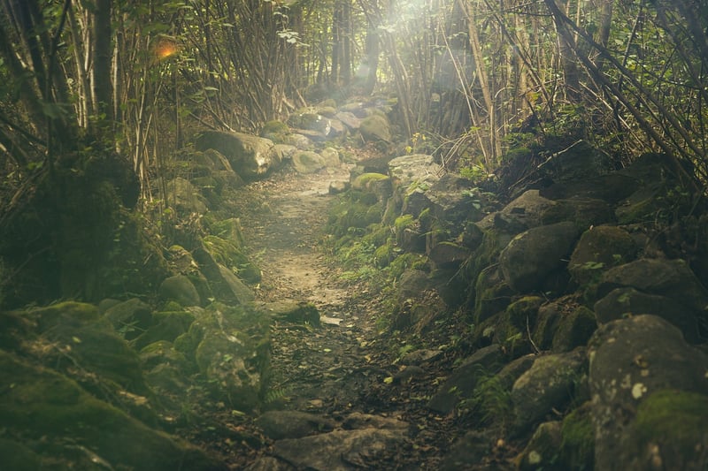 Forest-Inspired Fashion